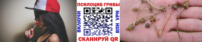 Псилоцибиновые грибы Cubensis  наркотики  Усмань 
